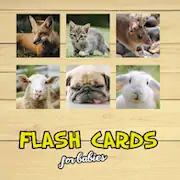 Скачать Flash Cards [Взлом Бесконечные деньги и МОД Меню] версия 0.7.3 на Андроид