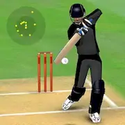 Скачать Smashing Cricket: cricket game [Взлом Бесконечные деньги и МОД Меню] версия 0.2.8 на Андроид