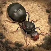 Скачать The Ants: Underground Kingdom [Взлом на деньги и МОД Меню] версия 2.6.9 на Андроид