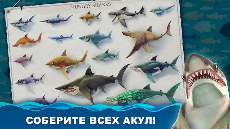 Скачать Hungry Shark World [Взлом Много монет и МОД Меню] версия 1.3.9 на Андроид