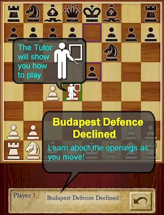 Скачать Шахматы (Chess) [Взлом Бесконечные деньги и МОД Меню] версия 0.4.3 на Андроид