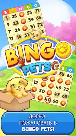 Скачать Bingo: Free the Pets [Взлом Бесконечные монеты и МОД Меню] версия 2.6.4 на Андроид