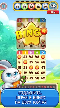 Скачать Bingo: Free the Pets [Взлом Бесконечные монеты и МОД Меню] версия 2.6.4 на Андроид