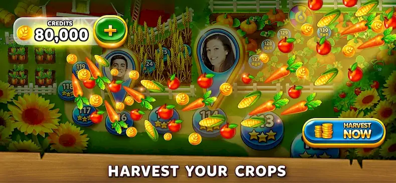 Скачать Solitaire Harvest - Tripeaks [Взлом Бесконечные монеты и МОД Меню] версия 0.4.7 на Андроид