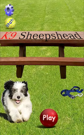 Скачать K9 Sheepshead (Schafkopf) [Взлом Много денег и МОД Меню] версия 2.5.9 на Андроид