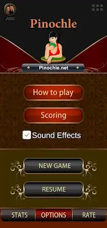 Скачать Pinochle.Net [Взлом на деньги и МОД Меню] версия 2.3.2 на Андроид