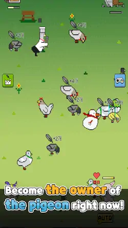 Скачать Pigeon Raising [Взлом на деньги и МОД Меню] версия 0.9.6 на Андроид