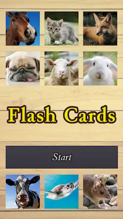 Скачать Flash Cards [Взлом Бесконечные деньги и МОД Меню] версия 0.7.3 на Андроид