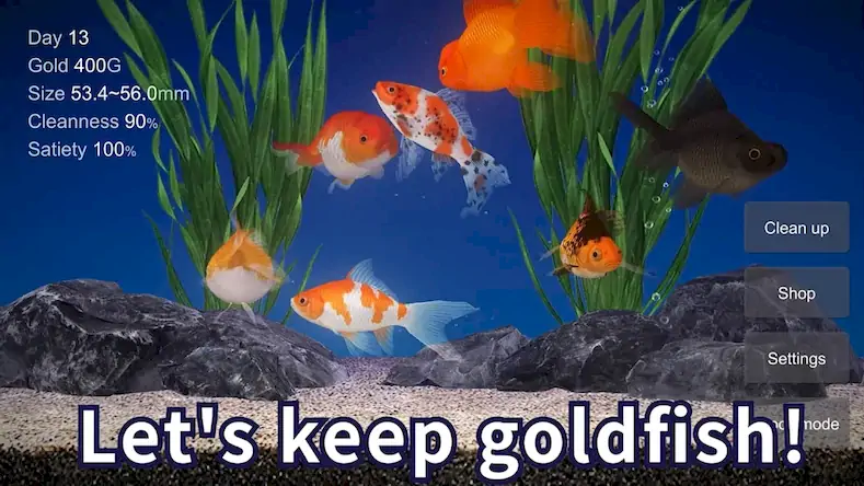 Скачать Goldfish 3D Relaxing Aquarium [Взлом Бесконечные деньги и МОД Меню] версия 2.2.1 на Андроид