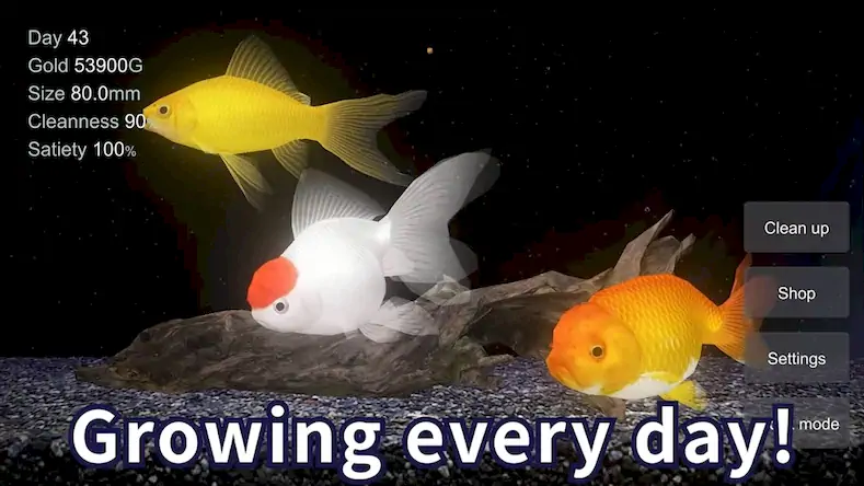 Скачать Goldfish 3D Relaxing Aquarium [Взлом Бесконечные деньги и МОД Меню] версия 2.2.1 на Андроид