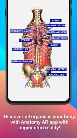 Скачать Anatomy AR 4D - Virtual TShirt [Взлом на деньги и МОД Меню] версия 1.2.2 на Андроид