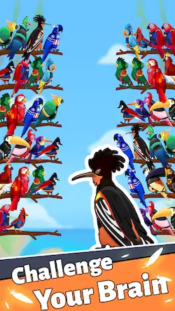 Скачать Сортировка по цвету птицы [Взлом на деньги и МОД Меню] версия 0.4.3 на Андроид