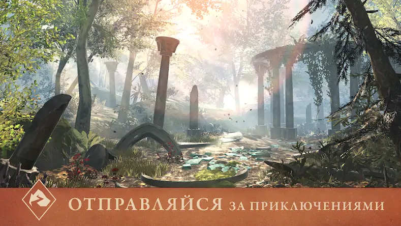 Скачать The Elder Scrolls: Blades [Взлом Много монет и МОД Меню] версия 2.8.2 на Андроид