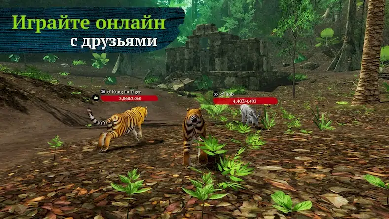 Скачать The Tiger [Взлом Много монет и МОД Меню] версия 2.5.6 на Андроид