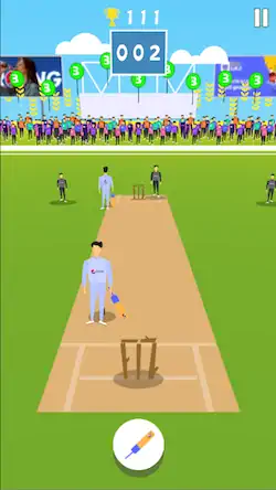 Скачать Cricket Summer Game [Взлом Бесконечные деньги и МОД Меню] версия 2.2.1 на Андроид