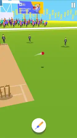 Скачать Cricket Summer Game [Взлом Бесконечные деньги и МОД Меню] версия 2.2.1 на Андроид